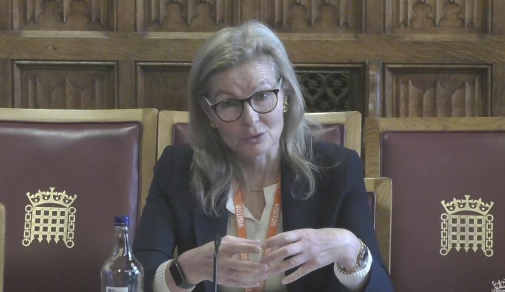 Catherine McBride at HoL Committee Inquiry